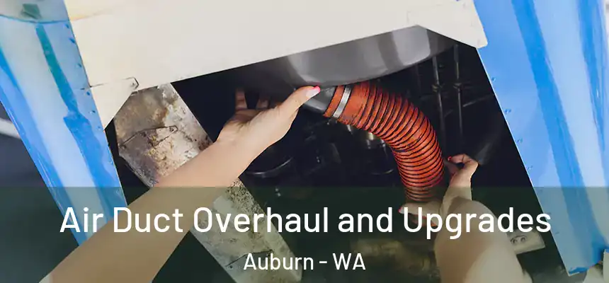 Air Duct Overhaul and Upgrades Auburn - WA