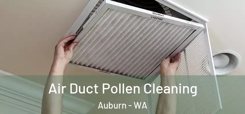 Air Duct Pollen Cleaning Auburn - WA
