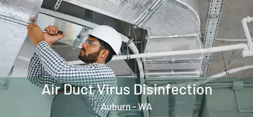  Air Duct Virus Disinfection Auburn - WA