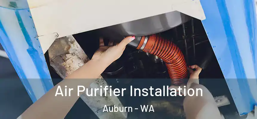  Air Purifier Installation Auburn - WA