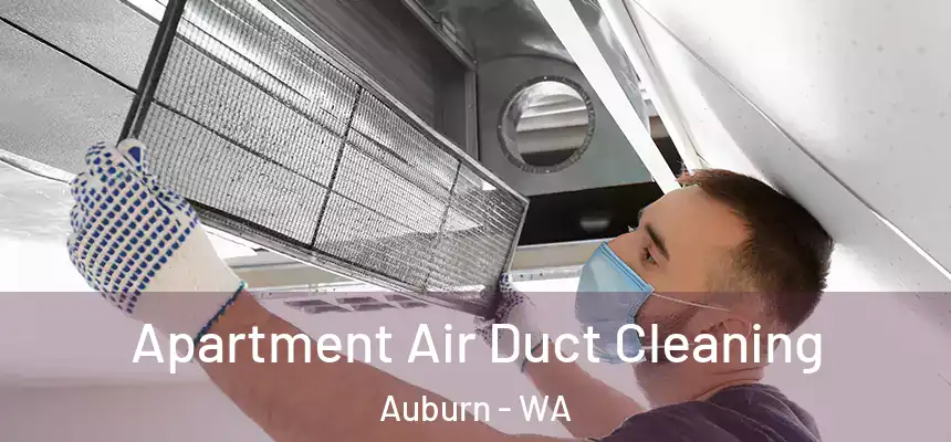 Apartment Air Duct Cleaning Auburn - WA