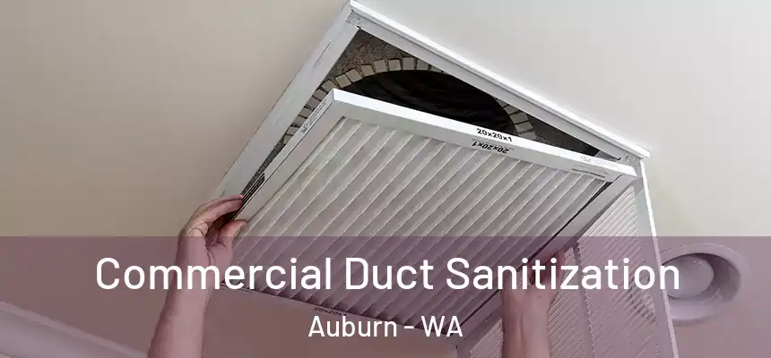 Commercial Duct Sanitization Auburn - WA
