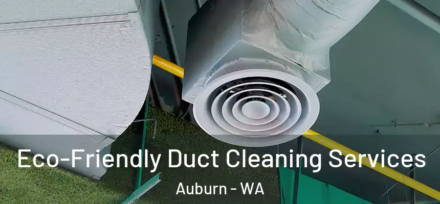  Eco-Friendly Duct Cleaning Services Auburn - WA