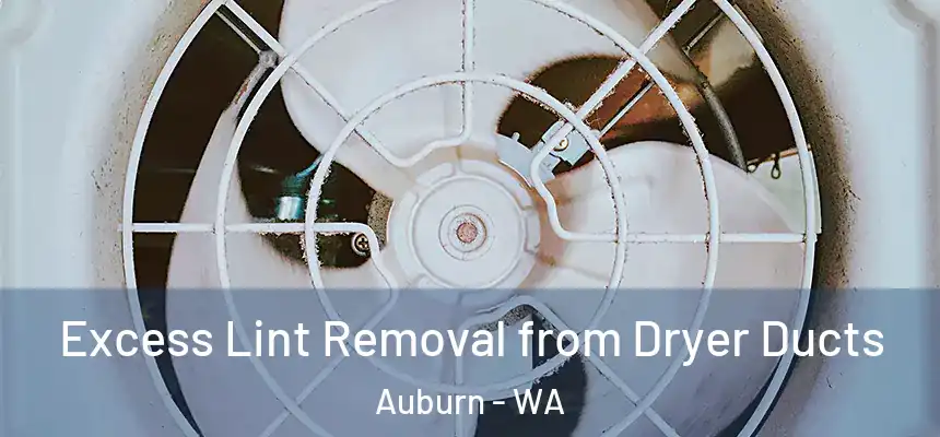 Excess Lint Removal from Dryer Ducts Auburn - WA
