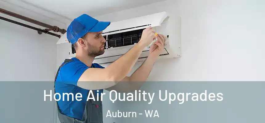 Home Air Quality Upgrades Auburn - WA