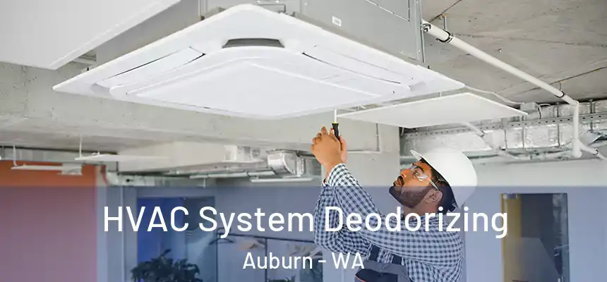 HVAC System Deodorizing Auburn - WA