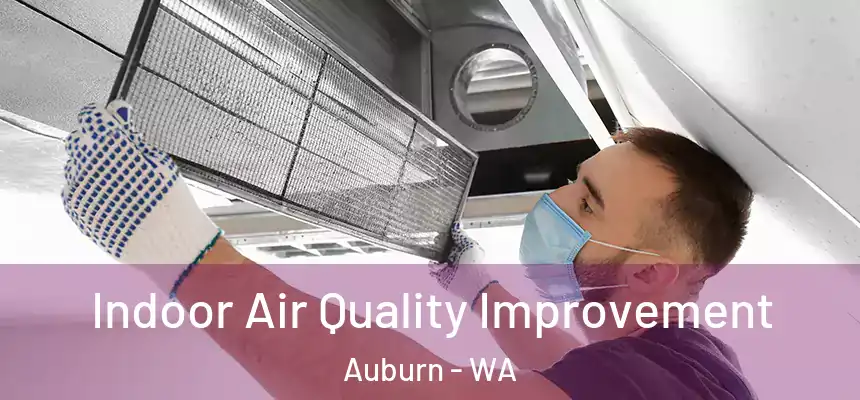  Indoor Air Quality Improvement Auburn - WA