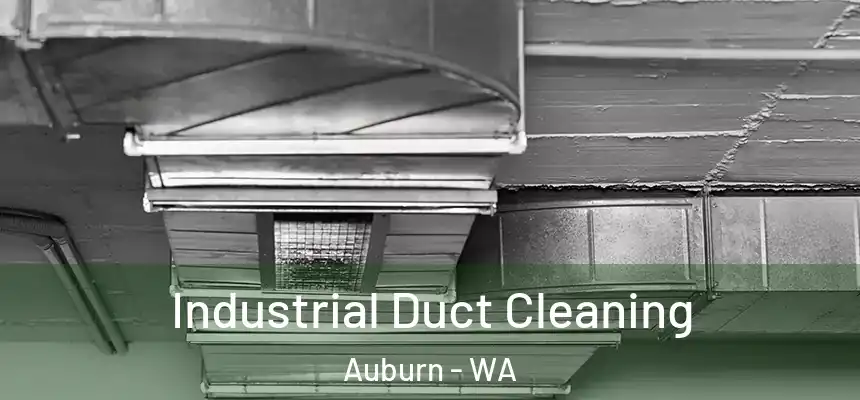 Industrial Duct Cleaning Auburn - WA