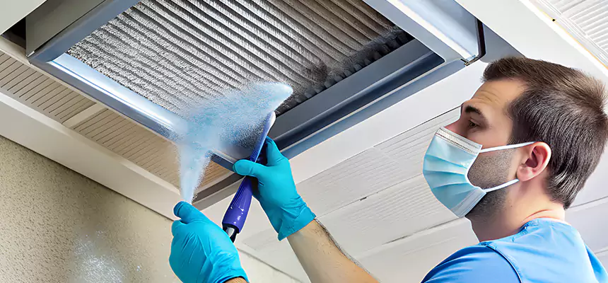 Proactive Dryer Vent & Auxiliary Duct Pollen Cleanup in Auburn, WA