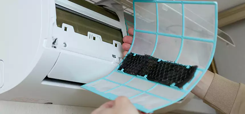 Gentle Ductwork Odor-Control Pet Dander Duct Cleaning in Auburn, WA