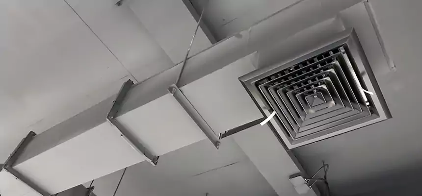 Our Rodent Droppings In Vents Services in Auburn, WA