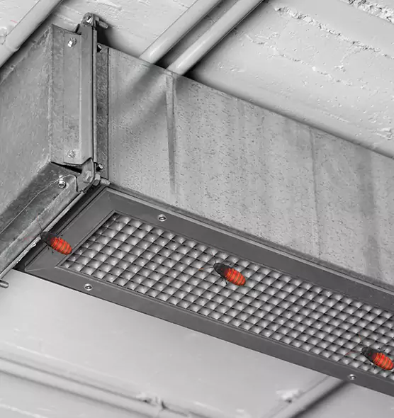 About Air Duct Cockroach Removal in Auburn, WA