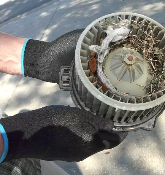 About Air Duct Rat Removal in Auburn, WA