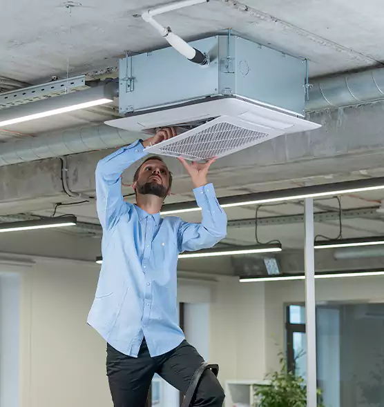 Advanced Rodent Droppings In Vents in Auburn, WA