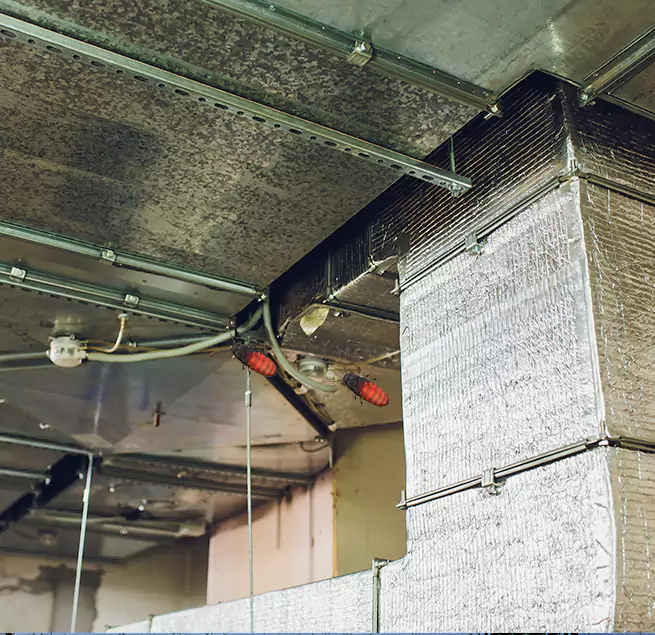 Why Homeowners & Businesses Trust Us in Auburn, WA?