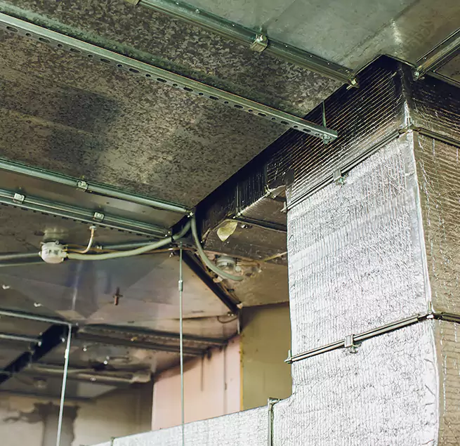 Why Homeowners & Businesses Trust Us in Auburn, WA?