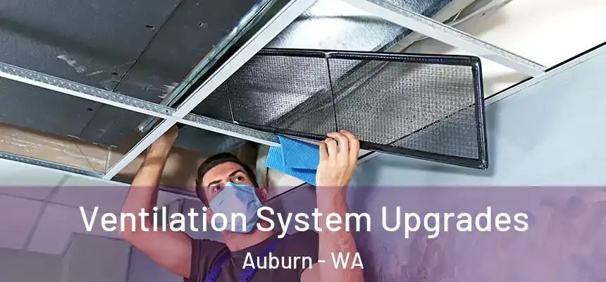 Ventilation System Upgrades Auburn - WA